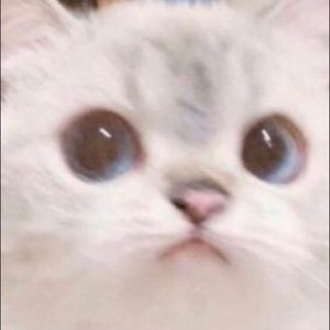 Meet your Posher, Ethan